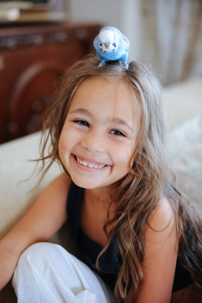 Young Girl Playing With Blue and White Pet Budgerigar In Livingroom