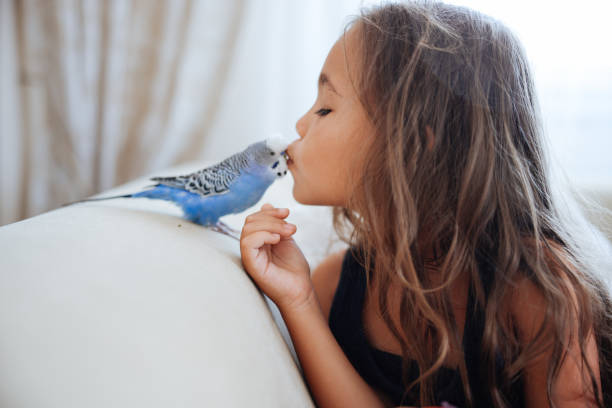 istock Young Girl Playing With Pet Budgerigar 2166331278