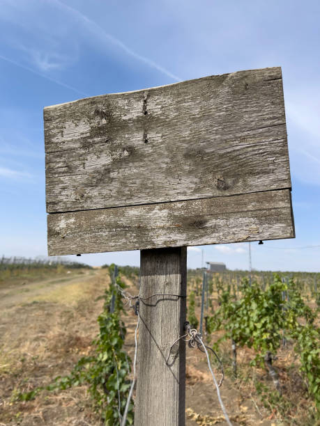 istock blank sign board sover field and sky wiyh copy space 2166332965