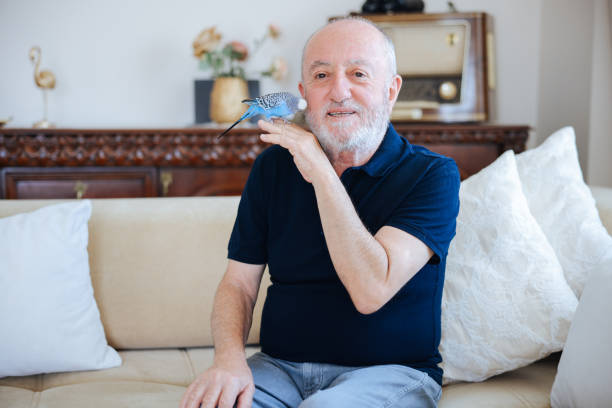 Senior Man Playing With Pet Budgerigar