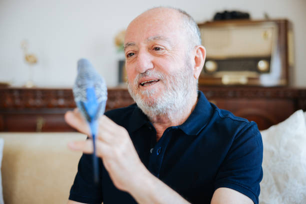istock Senior Man Playing With Pet Budgerigar 2166336255