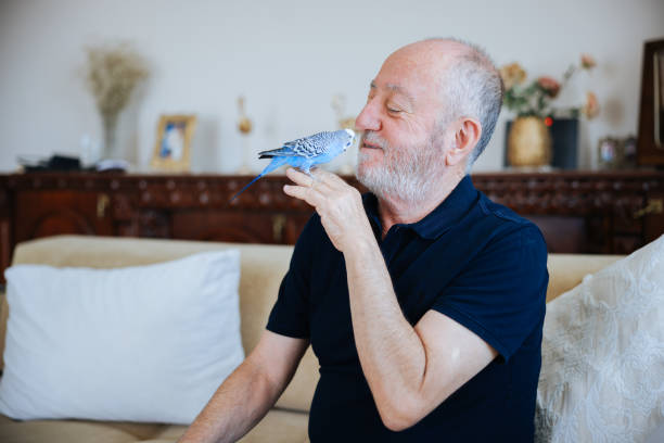 istock Senior Man Playing With Pet Budgerigar 2166336291