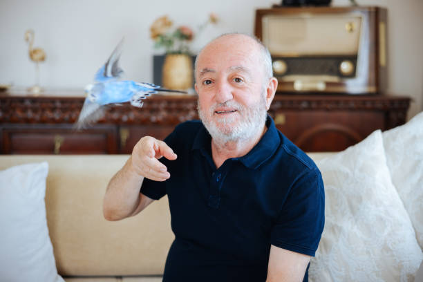 istock Senior Man Playing With Pet Budgerigar 2166336356