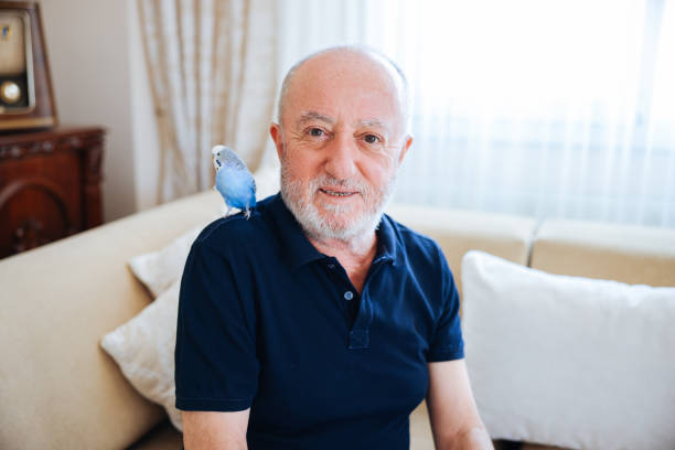 istock Senior Man Playing With Pet Budgerigar 2166336434