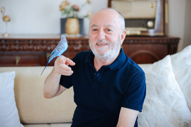 istock Senior Man Playing With Pet Budgerigar 2166336511