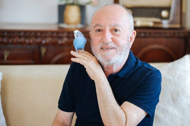 istock Senior Man Playing With Pet Budgerigar 2166336602