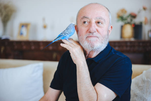 istock Senior Man Playing With Pet Budgerigar 2166336676