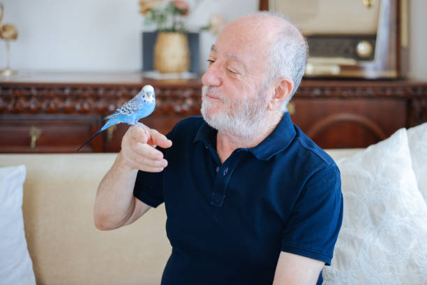 istock Senior Man Playing With Pet Budgerigar 2166336712