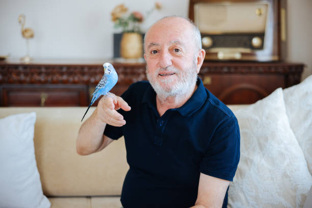 istock Senior Man Playing With Pet Budgerigar 2166336973