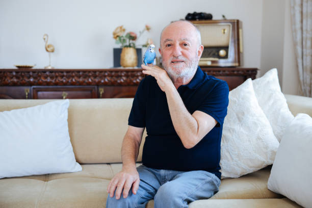 istock Senior Man Playing With Pet Budgerigar 2166337737