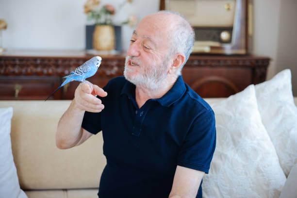 istock Senior Man Playing With Pet Budgerigar 2166337903