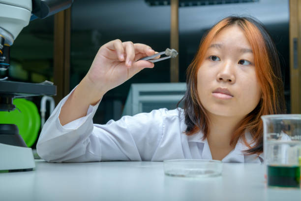 istock Little scientists analyze the composition of a stone or rock sample in Laboratory 2166339081
