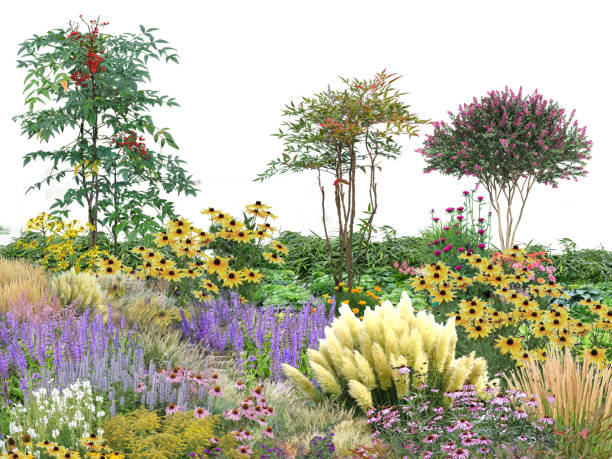 istock flower garden tree plant on white background with clipping path, 3d illustration, 3d rendering 2166341341