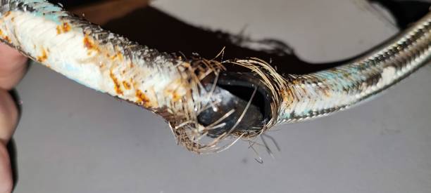 istock A broken under sink flexible hosepipe, hose, plumbing disaster, household flooding. 2166342913