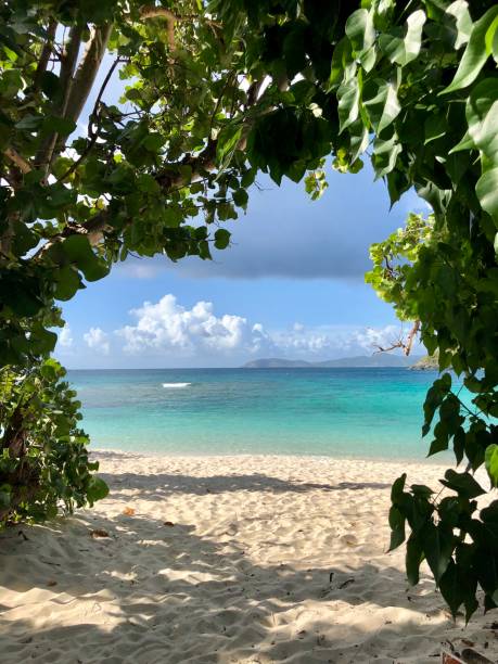 istock Entrance to Paradise 2166344150