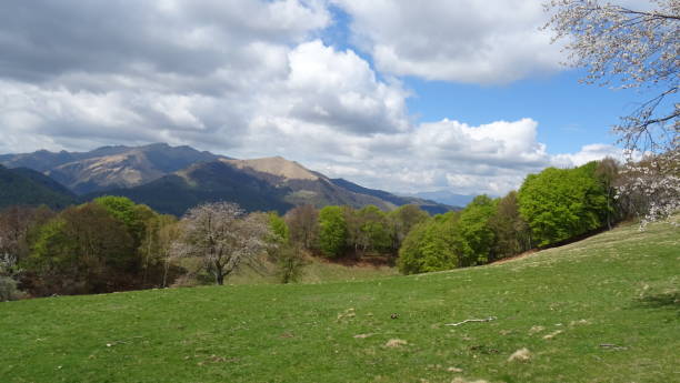istock Marvellous nature in Como lake, Italy 2166345377