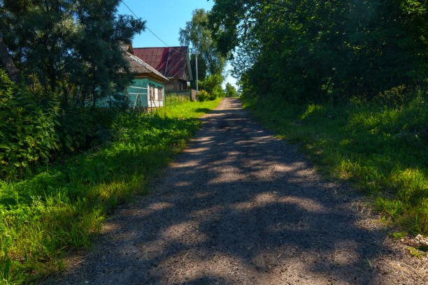 A dirt road in a rural area, flanked by trees and houses, leading into the distance under a clear blue sky.