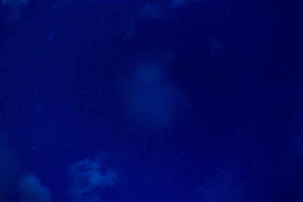 Night sky filled with countless bright stars. The vast expanse of space is beautifully displayed, showcasing the wonders of the universe and the endless possibilities it holds