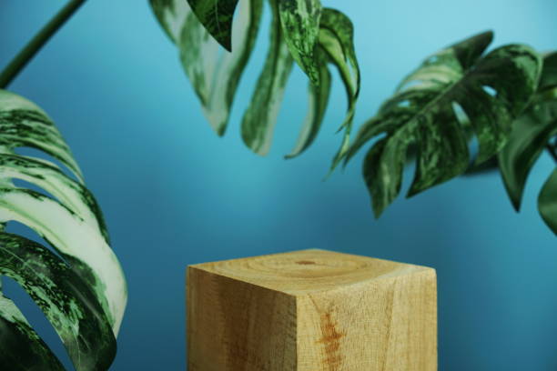 istock Wooden podium display scene stage showcase front view with copy space and monstera leaves decoration on blue background 2166351182