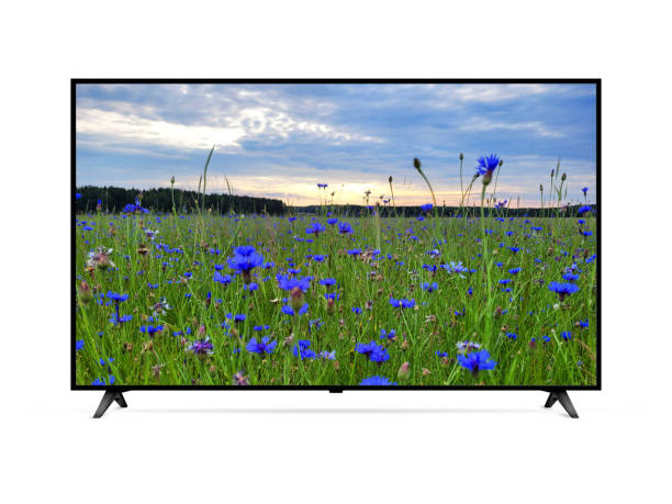 istock Smart tv with blue cornflowers field on screen 2166351568