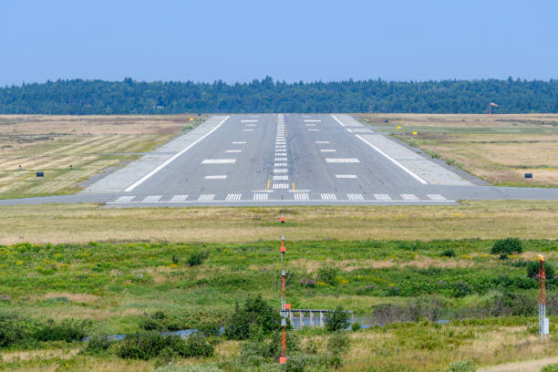 A runway at an airport stretches out into the distance on a sunny day. Field in front of the runway, trees behind. No planes present, runway is empty.
