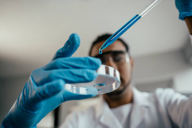 Young scientist doing analysis in the laboratory