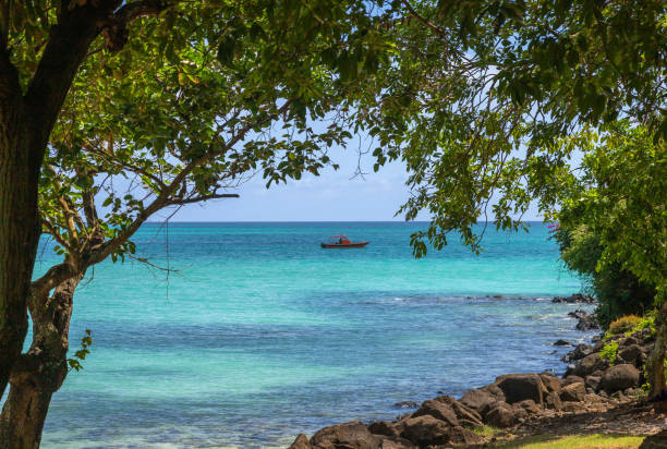 istock La Cuvette Beach in Mauritius 2166354653