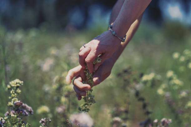 istock Hands contacting wild flowers 2166356815