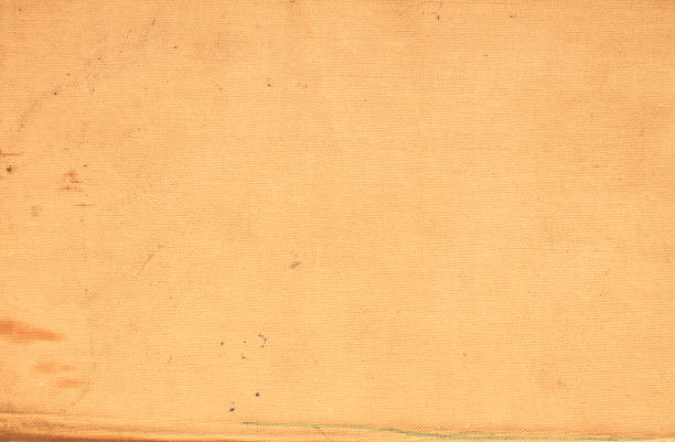 Natural Color Bright Vintage Cardboard Decorate Material Design Wallpaper For Any of Your Design With Copy Space