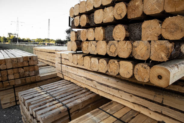 istock logs blanks warehouse woodworking construction furniture 2166366392