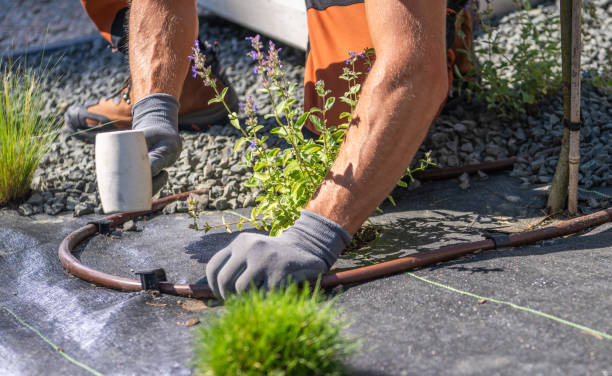 istock Worker Installing Irrigation System for Plants in a Landscaped Garden on a Sunny Day 2166368189