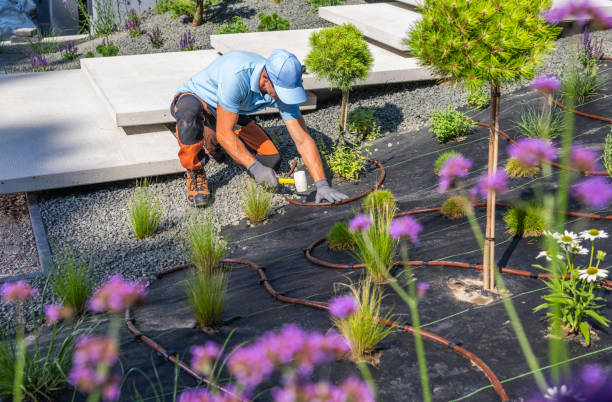 istock Gardener Installing Landscape Elements in a Modern Garden with Drip Irrigation 2166368203
