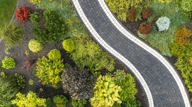 istock Lush Garden Landscape With Curved Pathway in a Vibrant Setting During Daylight 2166369568
