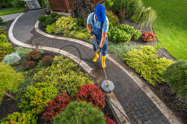istock Professional Gardener Using a Pressure Washer on a Paved Path Surrounded by Vibrant Plants in a Residential Yard 2166369757