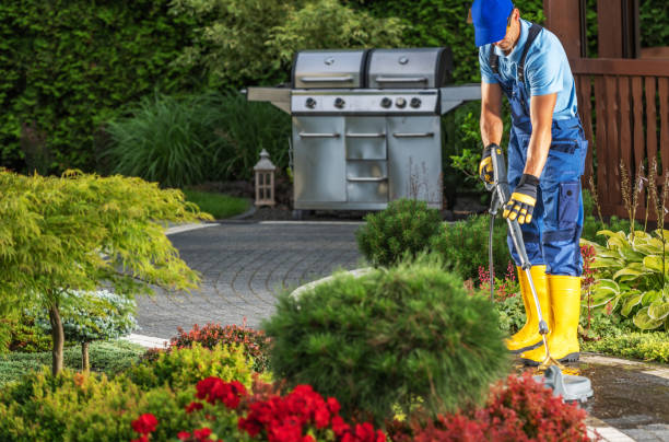 istock Gardener Using a Trimmer in a Landscaped Backyard With a Grill in the Background 2166369874