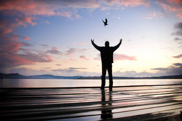 istock Rear view single man on wooden dock looking at seascape view during sunrise 2166369900