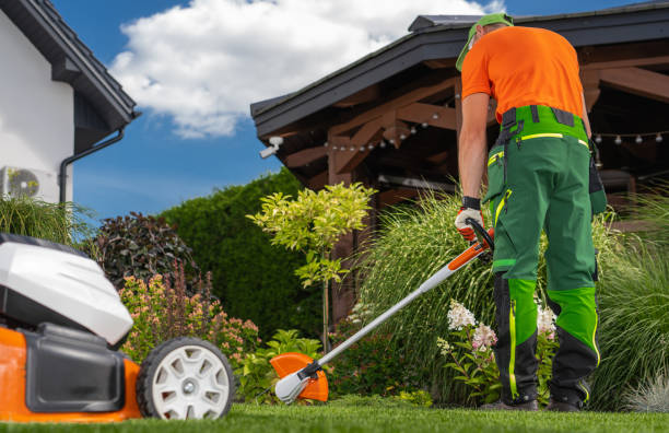 istock Worker Trims Grass Using a String Trimmer in a Well-Kept Garden on a Sunny Day 2166370374