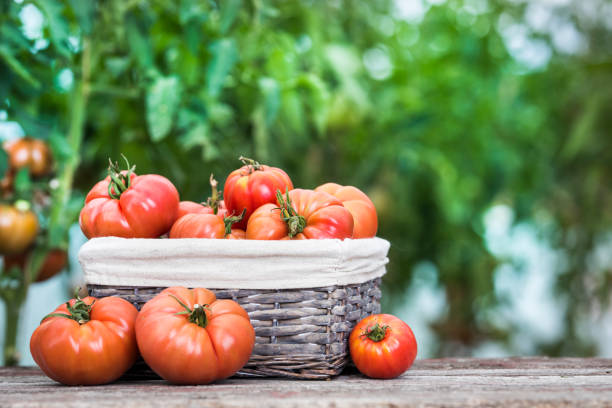 istock Vegetables, tomatoes on wooden desk 2166370401