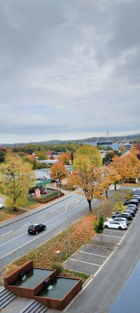 istock Bird Perspective Autumn Season 2166371221