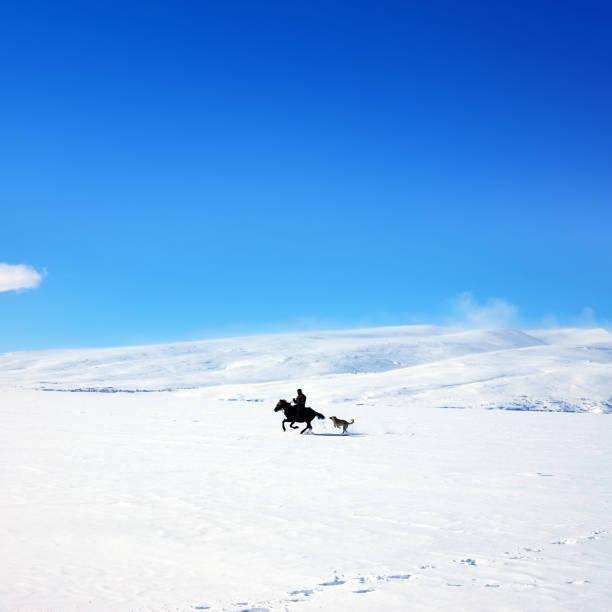Single man riding horse in snow