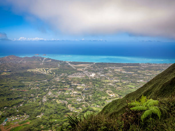istock High Angle View from Mountain Ridge with Fern 2166372131