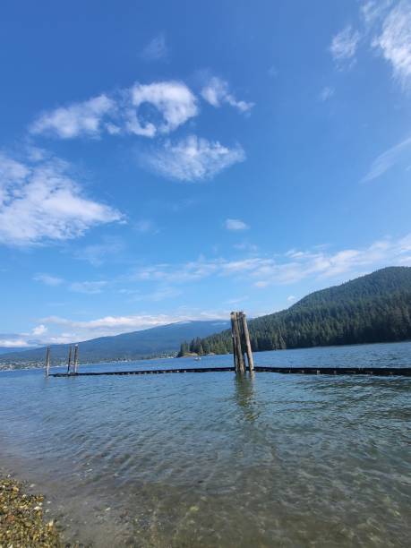 istock Barnet Highway and Barnet Marine Park's Flora and Views from Burnaby, BC 2166373600