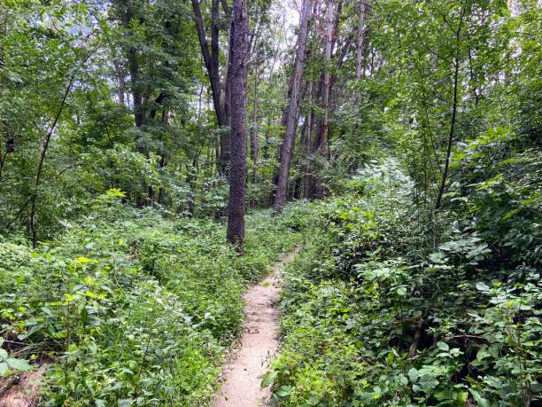 istock Lake Macbride State Park, Iowa 2166373630