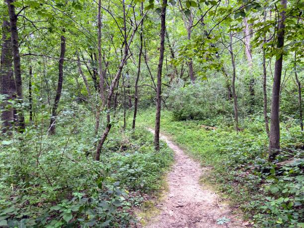 istock Lake Macbride State Park, Iowa 2166373634