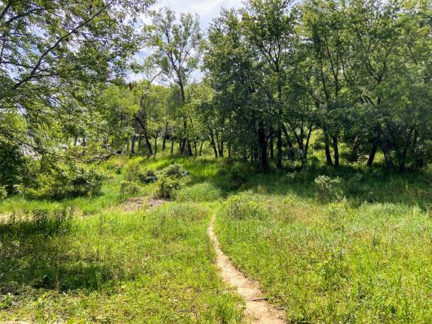istock Lake Macbride State Park, Iowa 2166373646
