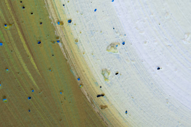 A close-up view of an abstract surface with sweeping beige and brown brushstrokes. The image captures the intricate textures and subtle color variations, creating a sense of movement and depth within the composition.
