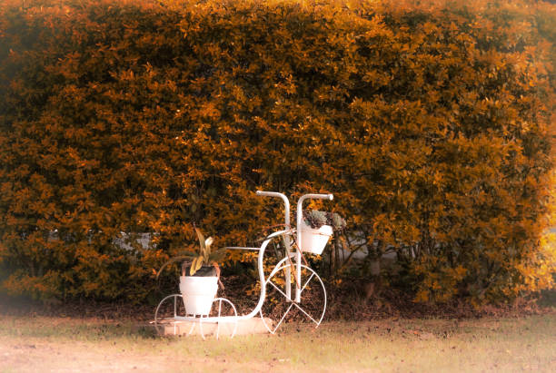 Aruja, SP, Brazil, photograph captured on a bicycle decorating a garden in autumn colors