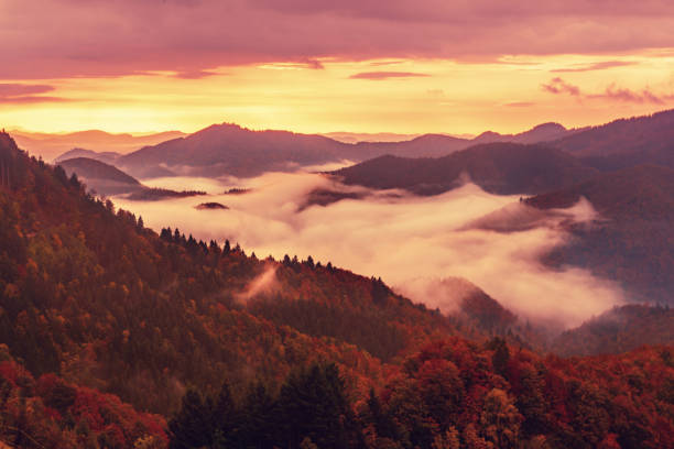 istock Misty mountain landscape 2166379293