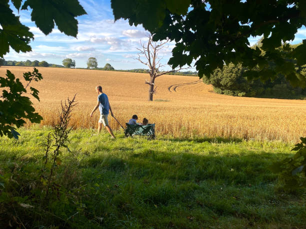istock White father pulling children in a wagon through golden wheat fields at summer sunset in Hertfordshire, England. 2166379891
