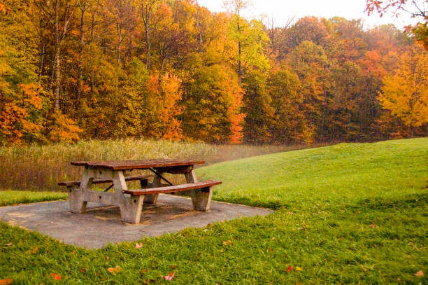 Autumn Autumn. Picnic table in the woods. fall picnic table stock pictures, royalty-free photos & images